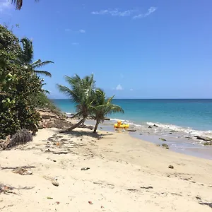  Apartment Relaxing Sunny Beach Side Near San Juan